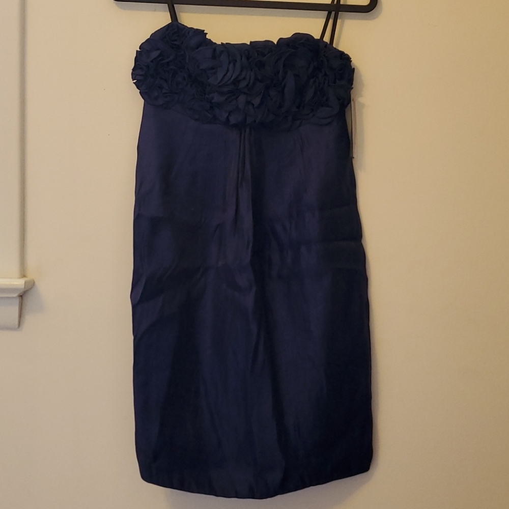 Agua indigo strapless dress